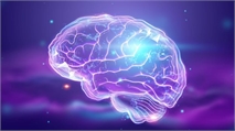MIT Study: Brain Circuit in Anterior Thalamus is Critical for Memory
