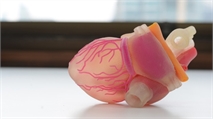 Artificial Organs for Biopharma Research and More