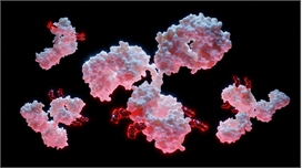 Biopharma Bets Big on Antibody-Drug Conjugates